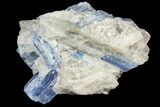 Vibrant Blue Kyanite Crystals In Quartz - Brazil #118841-1